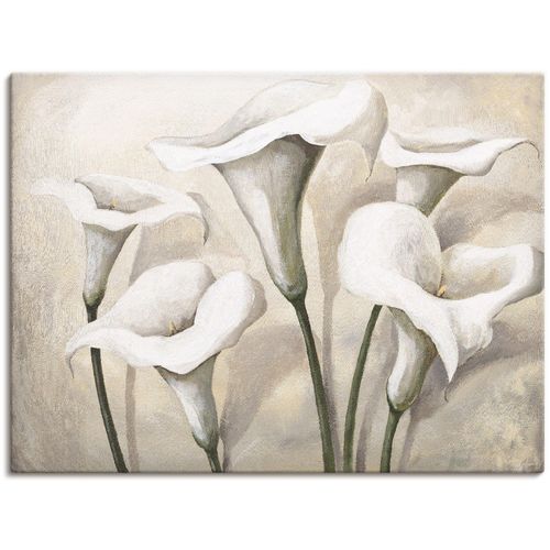 4055327152075 - Wandbild ARTLAND Callas I Bilder Gr B H 60 cm x 45 cm Leinwandbild Blumen 1 St beige (naturfarben) Bild Leinwandbild Kunstdrucke Bilder als Alubild Leinwandbild Wandaufkleber oder Poster in versch Größen 4055327152075 - Wandbild ARTLAND Callas I Bilder Gr B H 60 cm x 45 cm Leinwandbild Blumen 1 St beige (naturfarben) Bild Leinwandbild Kunstdrucke Bilder als Alubild Leinwandbild Wandaufkleber oder Poster in versch Größen