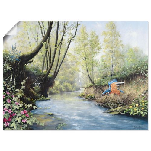 4055327499545 - Wandbild ARTLAND Eisvogel III Bilder Gr B H 60 cm x 45 cm Poster Gewässer Querformat 1 St grün Bild Poster Bilder als Leinwandbild Wandaufkleber oder in versch Größen
