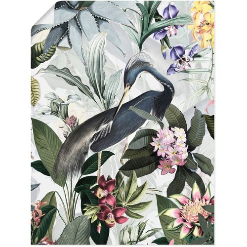 4062144648230 - Wandbild ARTLAND Vintage Kranich Bilder Gr B H 45 cm x 60 cm Poster Vogelbilder Hochformat 1 St grau Kunstdrucke als Alubild Leinwandbild Wandaufkleber oder Poster in versch Größen 4062144648230 - Wandbild ARTLAND Vintage Kranich Bilder Gr B H 45 cm x 60 cm Poster Vogelbilder Hochformat 1 St grau Kunstdrucke als Alubild Leinwandbild Wandaufkleber oder Poster in versch Größen