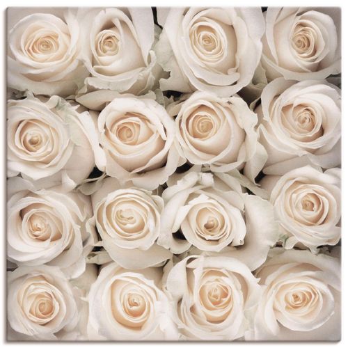 4055327464284 - Wandbild ARTLAND Weiße Rosenkreation Bilder Gr B H 40 cm x 40 cm Leinwandbild Blumen quadratisch 1 St weiß Bild Poster Bilder als Leinwandbild Wandaufkleber oder in versch Größen