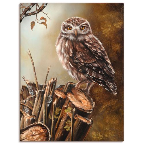 4055327479318 - Wandbild ARTLAND Eule Bilder Gr B H 45 cm x 60 cm Leinwandbild Vögel Hochformat 1 St braun Bild Poster Bilder als Leinwandbild Wandaufkleber oder in versch Größen 4055327479318 - Wandbild ARTLAND Eule Bilder Gr B H 45 cm x 60 cm Leinwandbild Vögel Hochformat 1 St braun Bild Poster Bilder als Leinwandbild Wandaufkleber oder in versch Größen
