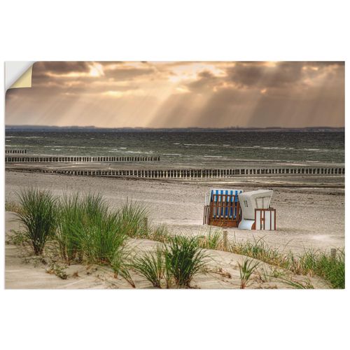 4062144515617 - Wandbild ARTLAND Schwarzer Busch Strand auf Insel Poel Bilder Gr B H 60 cm x 40 cm Wandaufkleber - Vinyl Strand Querformat 1 St beige (naturfarben) Bild Poster Bilder als Alubild Leinwandbild Wandaufkleber oder in versch Größen