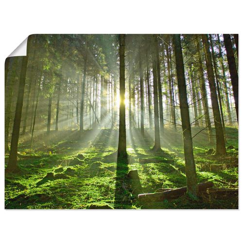 4055327636162 - Wandbild ARTLAND Wald im Gegenlicht Bilder Gr B H 80 cm x 60 cm Poster Wald Querformat 1 St grün Bild Poster Bilder als Alubild Leinwandbild Wandaufkleber oder in versch Größen