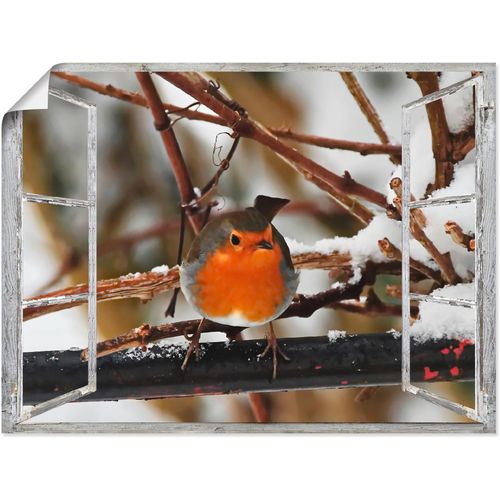 4057738830580 - Wandbild ARTLAND Fensterbild - Rotkehlchen Bilder Gr B H 40 cm x 30 cm Poster Vögel 1 St rot Bild Kunstdruck Poster Bilder als Alubild Leinwandbild Wandaufkleber oder in versch Größen