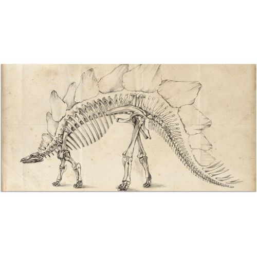 4058661310774 - Wandbild ARTLAND Dinosaurier Lehre III Bilder Gr B H 40 cm x 20 cm Alu-Dibond-Druck Dinosaurier Querformat 1 St beige (naturfarben) Bild Metallbild Metallbilder Bilder als Alubild Leinwandbild Wandaufkleber oder Poster in versch Größen 4058661310774 - Wandbild ARTLAND Dinosaurier Lehre III Bilder Gr B H 40 cm x 20 cm Alu-Dibond-Druck Dinosaurier Querformat 1 St beige (naturfarben) Bild Metallbild Metallbilder Bilder als Alubild Leinwandbild Wandaufkleber oder Poster in versch Größen