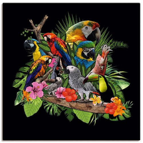 4062144340202 - Wandbild ARTLAND Papageien Graupapagei Kakadu Dschungel Bilder Gr B H 40 cm x 40 cm Leinwandbild Vögel quadratisch 1 St bunt Bild Metallbild Metallbilder Bilder als Alubild Leinwandbild Wandaufkleber oder Poster in versch Größen