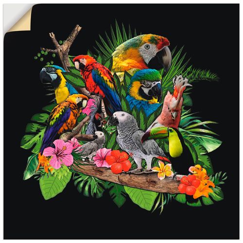 4062144340288 - Wandbild ARTLAND Papageien Graupapagei Kakadu Dschungel Bilder Gr B H 50 cm x 50 cm Wandaufkleber - Vinyl Vögel quadratisch 1 St bunt Bild Metallbild Metallbilder Bilder als Alubild Leinwandbild Wandaufkleber oder Poster in versch Größen 4062144340288 - Wandbild ARTLAND Papageien Graupapagei Kakadu Dschungel Bilder Gr B H 50 cm x 50 cm Wandaufkleber - Vinyl Vögel quadratisch 1 St bunt Bild Metallbild Metallbilder Bilder als Alubild Leinwandbild Wandaufkleber oder Poster in versch Größen