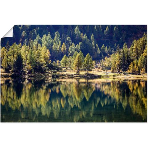 4062144663493 - Wandbild ARTLAND Herbstwald am Duisitzkarsee Bilder Gr B H 90 cm x 60 cm Poster Waldbilder Querformat 1 St grün Kunstdrucke als Alubild Leinwandbild Wandaufkleber oder Poster in versch Größen