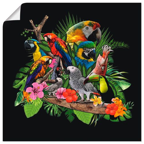 4062144340349 - Wandbild ARTLAND Papageien Graupapagei Kakadu Dschungel Bilder Gr B H 30 cm x 30 cm Poster Vögel quadratisch 1 St bunt Bild Metallbild Metallbilder Bilder als Alubild Leinwandbild Wandaufkleber oder Poster in versch Größen 4062144340349 - Wandbild ARTLAND Papageien Graupapagei Kakadu Dschungel Bilder Gr B H 30 cm x 30 cm Poster Vögel quadratisch 1 St bunt Bild Metallbild Metallbilder Bilder als Alubild Leinwandbild Wandaufkleber oder Poster in versch Größen