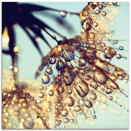 4058661285713 - Glasbild ARTLAND Pusteblume Goldener Regen Bilder Gr B H 30 cm x 30 cm Glasbild Blumen quadratisch 1 St blau Bild Glasbild Glasbilder Bilder in verschiedenen Größen