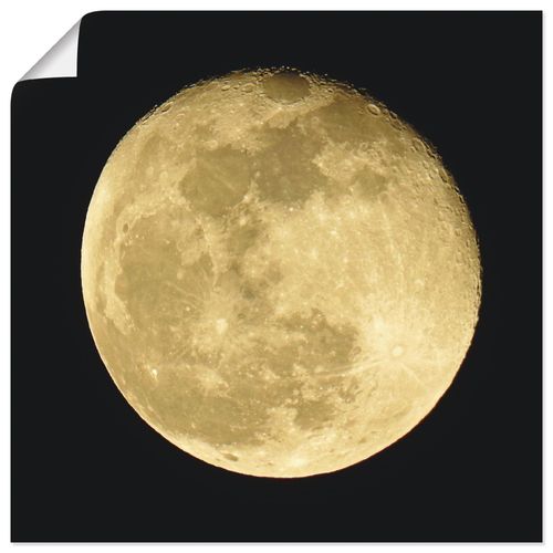 4059745657730 - Wandbild ARTLAND Mond Bilder Gr B H 50 cm x 50 cm Poster Weltraum quadratisch 1 St beige (naturfarben) Bild Leinwandbild Kunstdrucke Bilder als Alubild Leinwandbild Wandaufkleber oder Poster in versch Größen 4059745657730 - Wandbild ARTLAND Mond Bilder Gr B H 50 cm x 50 cm Poster Weltraum quadratisch 1 St beige (naturfarben) Bild Leinwandbild Kunstdrucke Bilder als Alubild Leinwandbild Wandaufkleber oder Poster in versch Größen