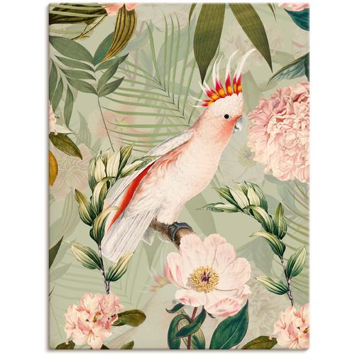 4062144648322 - Wandbild ARTLAND Vintage Papagei Bilder Gr B H 45 cm x 60 cm Leinwandbild Vogelbilder Hochformat 1 St grün Kunstdrucke als Alubild Leinwandbild Wandaufkleber oder Poster in versch Größen