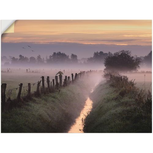 4057738560876 - Wandbild ARTLAND Applaus für den Herbst Bilder Gr B H 120 cm x 90 cm Wandaufkleber - Vinyl Felder 1 St orange Bild Kunstdruck Kunstdrucke Bilder als Leinwandbild Wandaufkleber oder Poster in versch Größen 4057738560876 - Wandbild ARTLAND Applaus für den Herbst Bilder Gr B H 120 cm x 90 cm Wandaufkleber - Vinyl Felder 1 St orange Bild Kunstdruck Kunstdrucke Bilder als Leinwandbild Wandaufkleber oder Poster in versch Größen