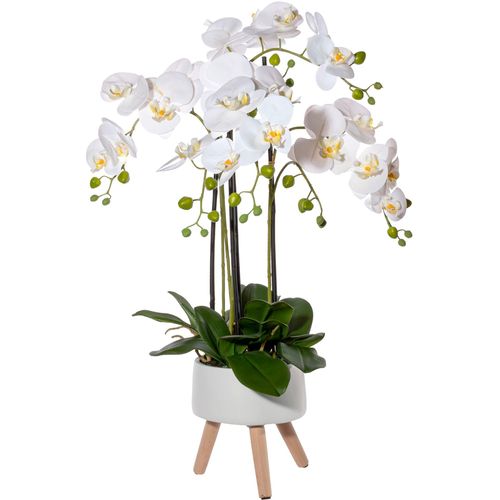 4064118138266 - Kunstorchidee CREATIV GREEN Orchidee Phalaenopsis in Keramikschale weiß H75cm Obermaterial 95% Polyethylen 5% Polyester Kunstpflanzen mit Real-Touch-Blüten und auf Füßen