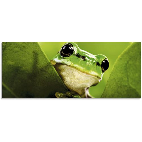 4055327040693 - Glasbild ARTLAND Ausspähender Frosch Bilder Gr B H 125 cm x 50 cm Glasbild Wassertiere 1 St grün Glasbilder in verschiedenen Größen 4055327040693 - Glasbild ARTLAND Ausspähender Frosch Bilder Gr B H 125 cm x 50 cm Glasbild Wassertiere 1 St grün Glasbilder in verschiedenen Größen