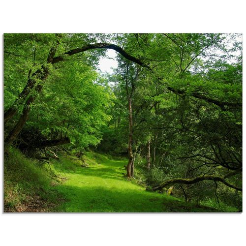 4055327307543 - Glasbild ARTLAND Grüner Weg durch den Wald Bilder Gr B H 80 cm x 60 cm Glasbild Wald Querformat 1 St grün Bild Glasbild Glasbilder Bilder in verschiedenen Größen