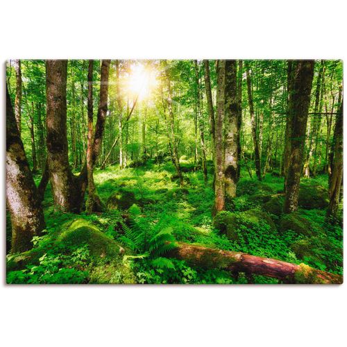 4059745302319 - Wandbild ARTLAND Wald Bilder Gr B H 120 cm x 80 cm Leinwandbild Wald 1 St grün Bild Kunstdruck Kunstdrucke Bilder als Alubild Leinwandbild Wandaufkleber oder Poster in versch Größen