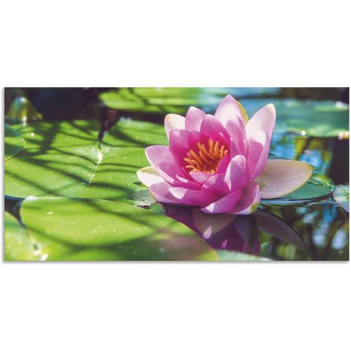 4062144620946 - Wandbild ARTLAND Seerose Nahaufnahme Bilder Gr B H 40 cm x 20 cm Alu-Dibond-Druck Blumenbilder Querformat 1 St grün Kunstdrucke als Alubild Leinwandbild Wandaufkleber oder Poster in versch Größen