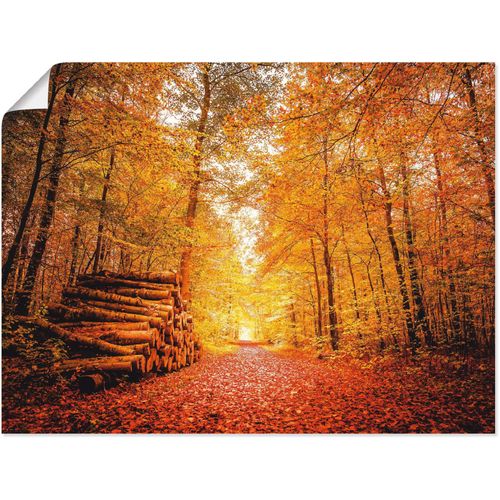 4059745781305 - Wandbild ARTLAND Herbstlandschaft Bilder Gr B H 60 cm x 45 cm Poster Vier Jahreszeiten 1 St rot Bild Poster Bilder als Alubild Leinwandbild Wandaufkleber oder in versch Größen 4059745781305 - Wandbild ARTLAND Herbstlandschaft Bilder Gr B H 60 cm x 45 cm Poster Vier Jahreszeiten 1 St rot Bild Poster Bilder als Alubild Leinwandbild Wandaufkleber oder in versch Größen
