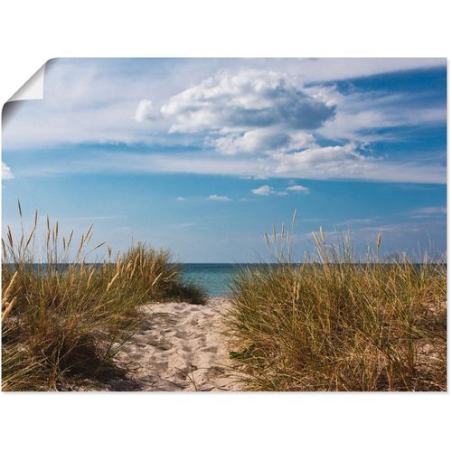 4057738600916 - Wandbild ARTLAND Ostseestrand in Dänemark Bilder Gr B H 60 cm x 45 cm Poster Strand 1 St beige (naturfarben) Bild Kunstdruck Leinwandbild Kunstdrucke Bilder als Alubild Leinwandbild Wandaufkleber oder Poster in versch Größen 4057738600916 - Wandbild ARTLAND Ostseestrand in Dänemark Bilder Gr B H 60 cm x 45 cm Poster Strand 1 St beige (naturfarben) Bild Kunstdruck Leinwandbild Kunstdrucke Bilder als Alubild Leinwandbild Wandaufkleber oder Poster in versch Größen