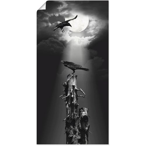 4057738310525 - Wandbild ARTLAND Raben in der Nacht Bilder Gr B H 30 cm x 60 cm Poster Vögel 1 St schwarz Bild Kunstdruck Leinwandbild Kunstdrucke Bilder als Leinwandbild Wandaufkleber oder Poster in versch Größen