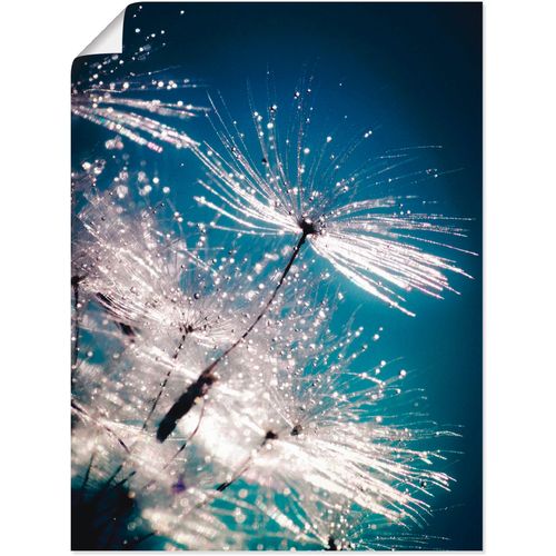 4059745191241 - Wandbild ARTLAND Pusteblume Kristallschirmchen Bilder Gr B H 30 cm x 40 cm Poster Blumen 1 St blau Bild Kunstdruck Kunstdrucke Bilder als Alubild Leinwandbild Wandaufkleber oder Poster in versch Größen