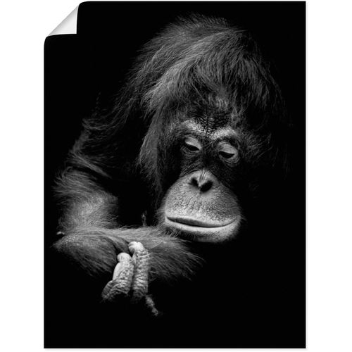 4062144626320 - Wandbild ARTLAND Der nachdenkliche Orang Utan Bilder Gr B H 45 cm x 60 cm Poster Affenbilder Hochformat 1 St schwarz Kunstdrucke als Alubild Leinwandbild Wandaufkleber oder Poster in versch Größen 4062144626320 - Wandbild ARTLAND Der nachdenkliche Orang Utan Bilder Gr B H 45 cm x 60 cm Poster Affenbilder Hochformat 1 St schwarz Kunstdrucke als Alubild Leinwandbild Wandaufkleber oder Poster in versch Größen