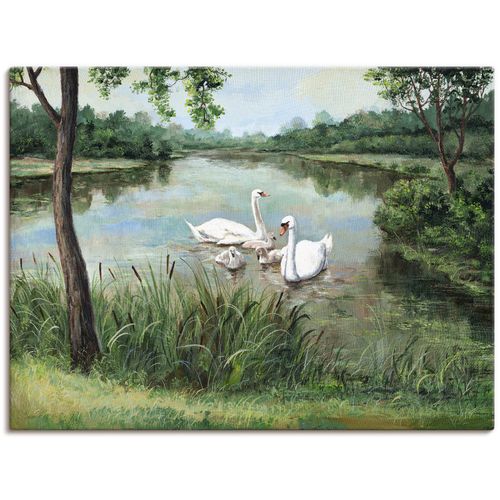 4055327152112 - Wandbild ARTLAND Schwäne Bilder Gr B H 60 cm x 45 cm Leinwandbild Vögel 1 St grün Bild Poster Bilder als Alubild Leinwandbild Wandaufkleber oder in versch Größen 4055327152112 - Wandbild ARTLAND Schwäne Bilder Gr B H 60 cm x 45 cm Leinwandbild Vögel 1 St grün Bild Poster Bilder als Alubild Leinwandbild Wandaufkleber oder in versch Größen