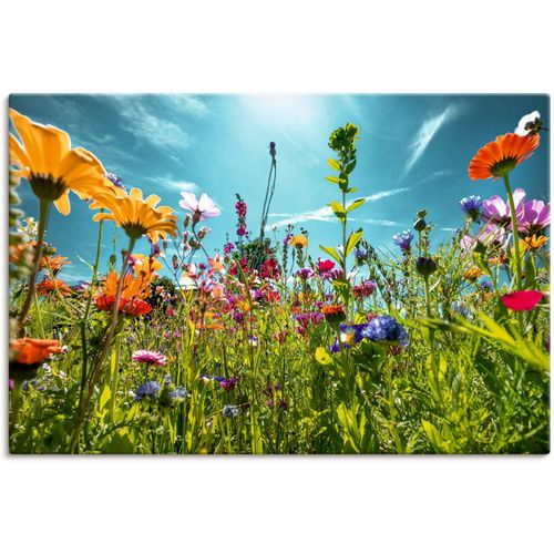 4062144669334 - Wandbild ARTLAND Buntes Blumenfeld Bilder Gr B H 90 cm x 60 cm Leinwandbild Blumenwiese Querformat 1 St bunt Kunstdrucke als Alubild Leinwandbild Wandaufkleber oder Poster in versch Größen