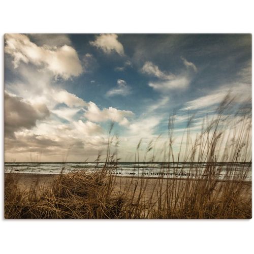 4055327171151 - Wandbild ARTLAND An der Küste Ostsee Bilder Gr B H 60 cm x 45 cm Leinwandbild Gewässer 1 St braun Kunstdrucke Bilder als Leinwandbild Wandaufkleber oder Poster in versch Größen 4055327171151 - Wandbild ARTLAND An der Küste Ostsee Bilder Gr B H 60 cm x 45 cm Leinwandbild Gewässer 1 St braun Kunstdrucke Bilder als Leinwandbild Wandaufkleber oder Poster in versch Größen