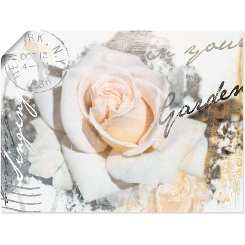 4055327293211 - Wandbild ARTLAND In Buchstaben - Rose Bilder Gr B H 80 cm x 60 cm Poster Blumen 1 St weiß Bild Poster Bilder als Alubild Leinwandbild Wandaufkleber oder in versch Größen 4055327293211 - Wandbild ARTLAND In Buchstaben - Rose Bilder Gr B H 80 cm x 60 cm Poster Blumen 1 St weiß Bild Poster Bilder als Alubild Leinwandbild Wandaufkleber oder in versch Größen