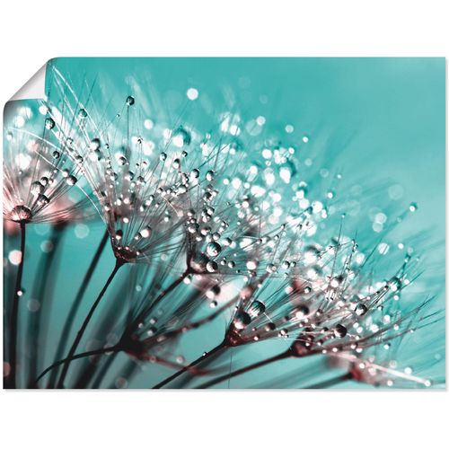 4055327988995 - Wandbild ARTLAND Glitzernde Pusteblume I Bilder Gr B H 60 cm x 45 cm Poster Blumen 1 St blau Bild Kunstdruck Kunstdrucke Bilder als Leinwandbild Wandaufkleber oder Poster in versch Größen 4055327988995 - Wandbild ARTLAND Glitzernde Pusteblume I Bilder Gr B H 60 cm x 45 cm Poster Blumen 1 St blau Bild Kunstdruck Kunstdrucke Bilder als Leinwandbild Wandaufkleber oder Poster in versch Größen