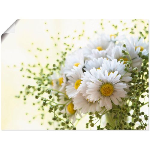 4055327885126 - Wandbild ARTLAND Gänseblümchen und Hofstaat Bilder Gr B H 40 cm x 30 cm Poster Blumen 1 St weiß Bild Kunstdruck Leinwandbild Kunstdrucke Bilder als Leinwandbild Wandaufkleber oder Poster in versch Größen