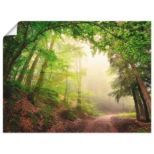4057738317593 - Wandbild ARTLAND Natürliche Torbögen durch Bäume Bilder Gr B H 40 cm x 30 cm Poster Wald Querformat 1 St grün Bild Poster Bilder als Alubild Leinwandbild Wandaufkleber oder in versch Größen