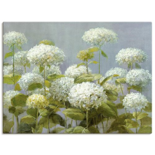 4055327746045 - Wandbild ARTLAND Weißer Hortensien Garten Bilder Gr B H 60 cm x 45 cm Leinwandbild Blumen Querformat 1 St weiß Bild Leinwandbild Kunstdrucke Bilder als Leinwandbild Wandaufkleber oder Poster in versch Größen