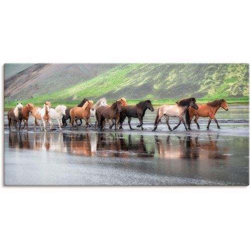 4058661408822 - Wandbild ARTLAND Isländische Pferde XIV Bilder Gr B H 60 cm x 30 cm Leinwandbild Haustiere Querformat 1 St beige (naturfarben) Bild Poster Bilder als Alubild Leinwandbild Wandaufkleber oder in versch Größen 4058661408822 - Wandbild ARTLAND Isländische Pferde XIV Bilder Gr B H 60 cm x 30 cm Leinwandbild Haustiere Querformat 1 St beige (naturfarben) Bild Poster Bilder als Alubild Leinwandbild Wandaufkleber oder in versch Größen