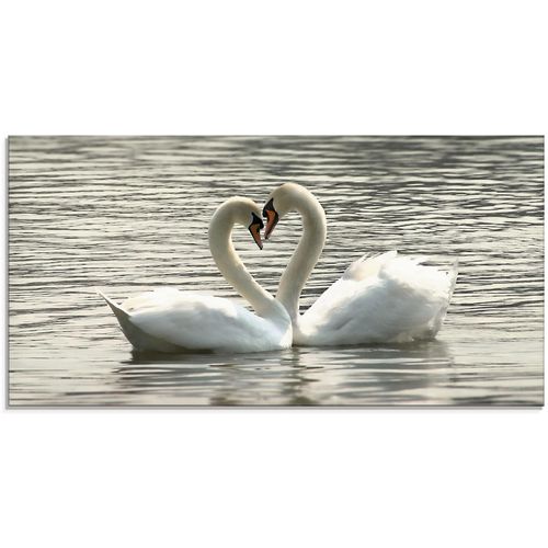 4055327019613 - Glasbild ARTLAND Liebesspiel von Schwänen Bilder Gr B H 100 cm x 50 cm Glasbild Vögel 1 St grau Glasbilder in verschiedenen Größen