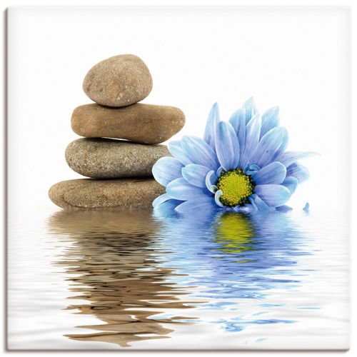 4055327233477 - Wandbild ARTLAND Therapie-Steine mit einzelnen Blumen Bilder Gr B H 40 cm x 40 cm Leinwandbild Zen quadratisch 1 St weiß Bild Poster Bilder als Alubild Leinwandbild Wandaufkleber oder in versch Größen