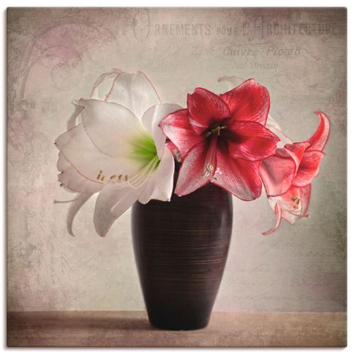 4059745059398 - Wandbild ARTLAND Amaryllis Vintage I Bilder Gr B H 30 cm x 30 cm Leinwandbild Blumen quadratisch 1 St beige (naturfarben) Bild Poster Bilder als Alubild Leinwandbild Wandaufkleber oder in versch Größen