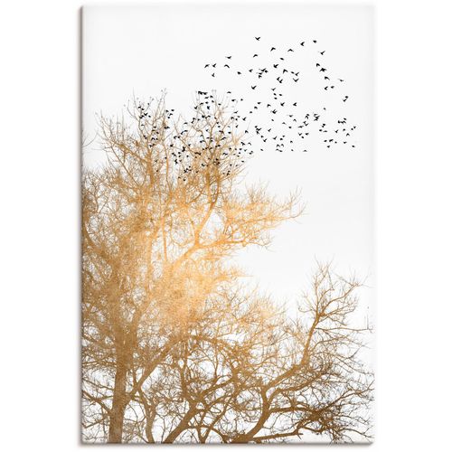 4062144774168 - Wandbild ARTLAND Goldener Himmel Bilder Gr B H 40 cm x 60 cm Leinwandbild Himmelsbilder Hochformat 1 St weiß Kunstdrucke als Alubild Leinwandbild Wandaufkleber oder Poster in versch Größen 4062144774168 - Wandbild ARTLAND Goldener Himmel Bilder Gr B H 40 cm x 60 cm Leinwandbild Himmelsbilder Hochformat 1 St weiß Kunstdrucke als Alubild Leinwandbild Wandaufkleber oder Poster in versch Größen