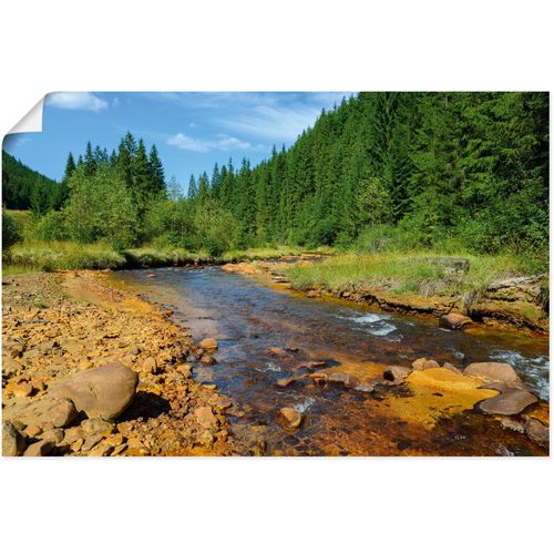 4062144765371 - Wandbild ARTLAND Fluss Neagra Caliman-Nationalpark Bilder Gr B H 30 cm x 20 cm Poster Gewässer Querformat 1 St bunt Kunstdrucke als Alubild Leinwandbild Wandaufkleber oder Poster in versch Größen