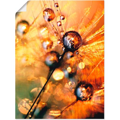 4057738609988 - Wandbild ARTLAND Pusteblume Energy Bilder Gr B H 30 cm x 40 cm Poster Blumen 1 St orange Bild Kunstdruck Kunstdrucke Bilder als Alubild Leinwandbild Wandaufkleber oder Poster in versch Größen 4057738609988 - Wandbild ARTLAND Pusteblume Energy Bilder Gr B H 30 cm x 40 cm Poster Blumen 1 St orange Bild Kunstdruck Kunstdrucke Bilder als Alubild Leinwandbild Wandaufkleber oder Poster in versch Größen