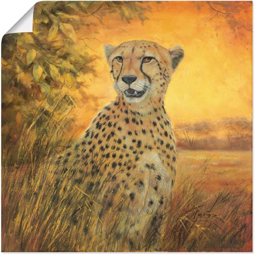 4062144592755 - Wandbild ARTLAND Porträt Gepard Bilder Gr B H 40 cm x 40 cm Poster Geparden Bilder quadratisch 1 St braun Kunstdrucke als Alubild Leinwandbild Wandaufkleber oder Poster in versch Größen