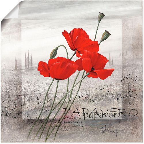 4055327835459 - Wandbild ARTLAND Mohnblumen Bilder Gr B H 70 cm x 70 cm Poster Blumen 1 St rot Bild Kunstdruck Poster Bilder als Leinwandbild Wandaufkleber oder in versch Größen