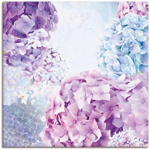 4059745433013 - Wandbild ARTLAND Blau und Pink Hortensie Bilder Gr B H 40 cm x 40 cm Leinwandbild Blumen 1 St blau Bild Kunstdruck Metallbild Metallbilder Bilder als Alubild Leinwandbild Wandaufkleber oder Poster in versch Größen