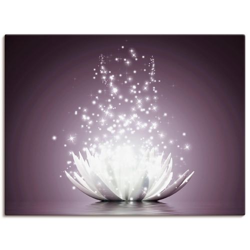 4055327787390 - Wandbild ARTLAND Magie der Lotus-Blume Bilder Gr B H 60 cm x 45 cm Leinwandbild Blumen Querformat 1 St lila Bild Leinwandbild Kunstdrucke Bilder als Leinwandbild Wandaufkleber oder Poster in versch Größen 4055327787390 - Wandbild ARTLAND Magie der Lotus-Blume Bilder Gr B H 60 cm x 45 cm Leinwandbild Blumen Querformat 1 St lila Bild Leinwandbild Kunstdrucke Bilder als Leinwandbild Wandaufkleber oder Poster in versch Größen