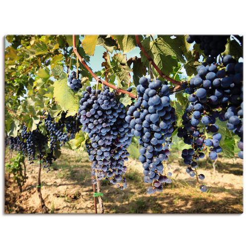4062144536476 - Wandbild ARTLAND Toskanische Weintrauben Bilder Gr B H 60 cm x 45 cm Leinwandbild Süßspeisen Querformat 1 St blau Bild Metallbild Metallbilder Bilder als Alubild Leinwandbild Wandaufkleber oder Poster in versch Größen