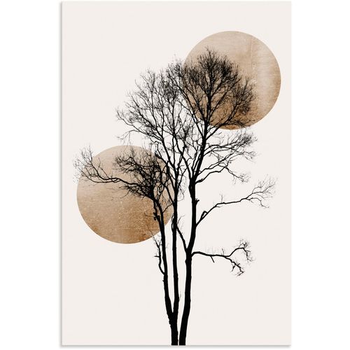 4062144778135 - Wandbild ARTLAND Sonne und Mond versteckt Bilder Gr B H 20 cm x 30 cm Alu-Dibond-Druck Baumbilder Hochformat 1 St grau Kunstdrucke als Alubild Leinwandbild Wandaufkleber oder Poster in versch Größen 4062144778135 - Wandbild ARTLAND Sonne und Mond versteckt Bilder Gr B H 20 cm x 30 cm Alu-Dibond-Druck Baumbilder Hochformat 1 St grau Kunstdrucke als Alubild Leinwandbild Wandaufkleber oder Poster in versch Größen