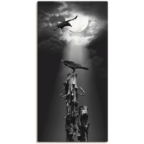4057738310297 - Wandbild ARTLAND Raben in der Nacht Bilder Gr B H 20 cm x 40 cm Leinwandbild Vögel 1 St schwarz Bild Kunstdruck Leinwandbild Kunstdrucke Bilder als Leinwandbild Wandaufkleber oder Poster in versch Größen