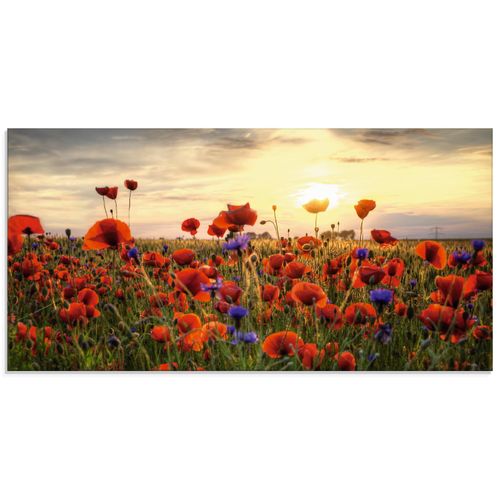 4062144278178 - Glasbild ARTLAND Mohnblumenwiese Bilder Gr B H 100 cm x 50 cm Glasbild Blumen Querformat 1 St rot Bild Glasbild Glasbilder Bilder in verschiedenen Größen 4062144278178 - Glasbild ARTLAND Mohnblumenwiese Bilder Gr B H 100 cm x 50 cm Glasbild Blumen Querformat 1 St rot Bild Glasbild Glasbilder Bilder in verschiedenen Größen